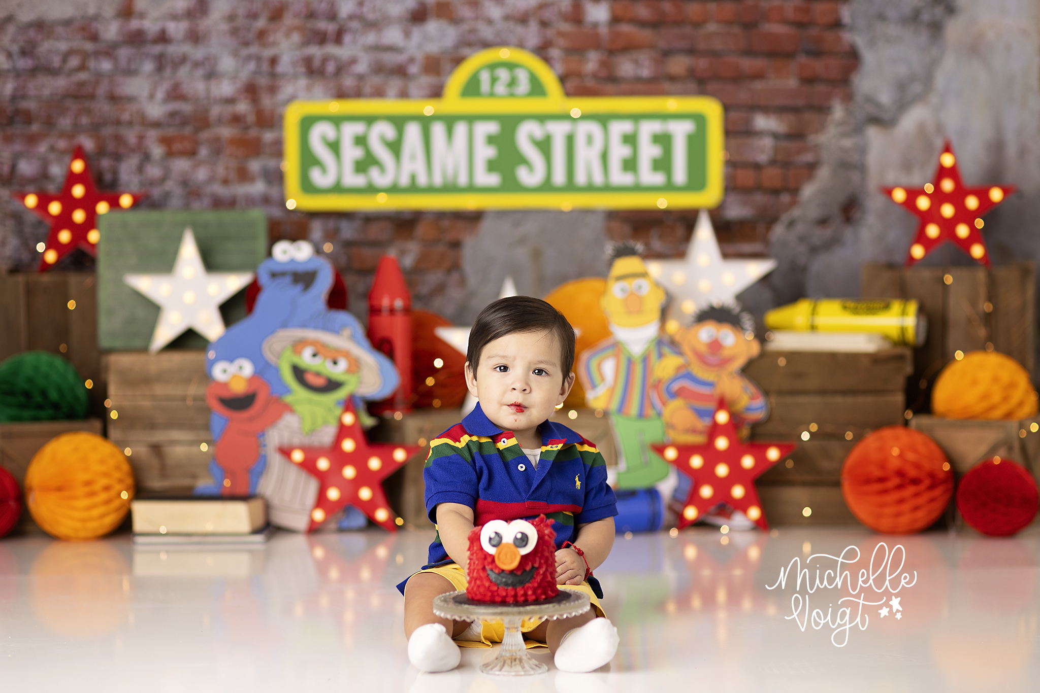 Sesame Street Theme Cake Smash › Michelle Voigt Photography Blog